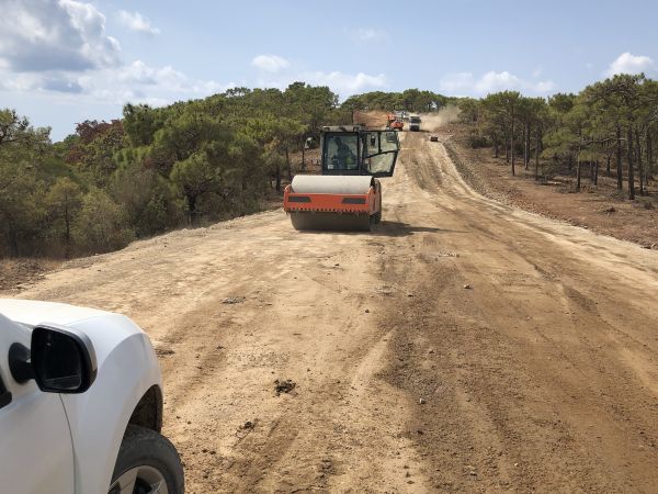 Cost of Driveway Grading in Jackson