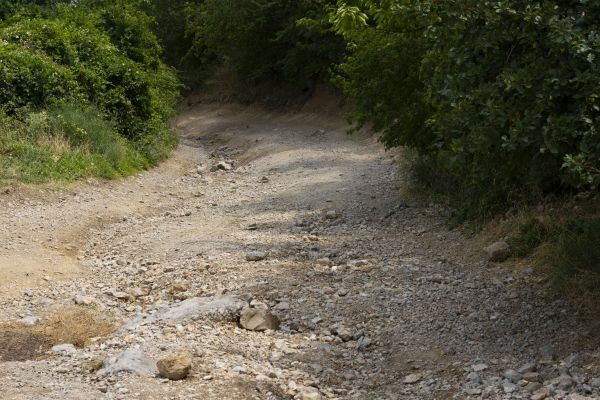 Cost of Gravel Road Pothole Repair in Jackson