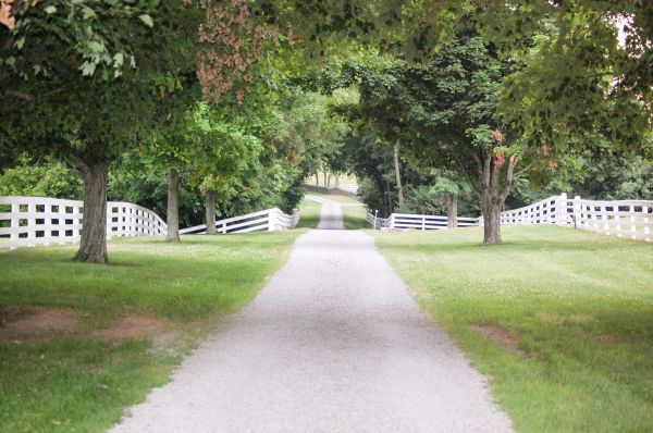Cost of Gravel Driveway Construction in Jackson