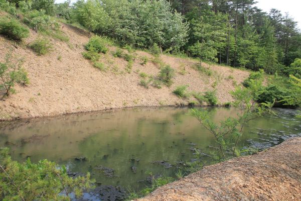 Cost of Pond Erosion Repair in Jackson